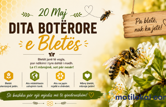 Dita Botërore e Bletës – Bletët së bashku për njerëzit dhe planetin