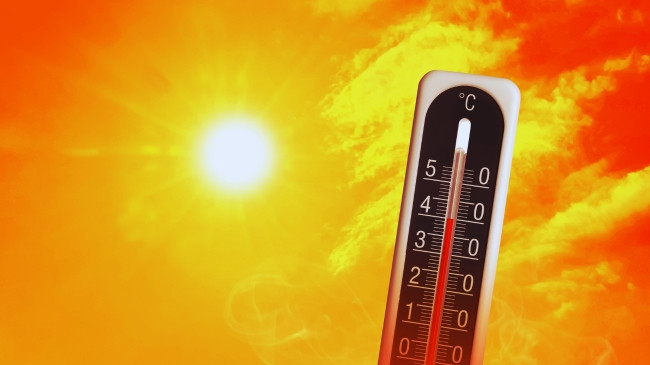 'Verë e nxehtë': Evropa Perëndimore në alarm për temperatura ekstreme