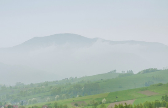Mjegulla nuk është vetëm ujë në ajër: Shkencëtarët zbulojnë baktere që pastrojnë atmosferën