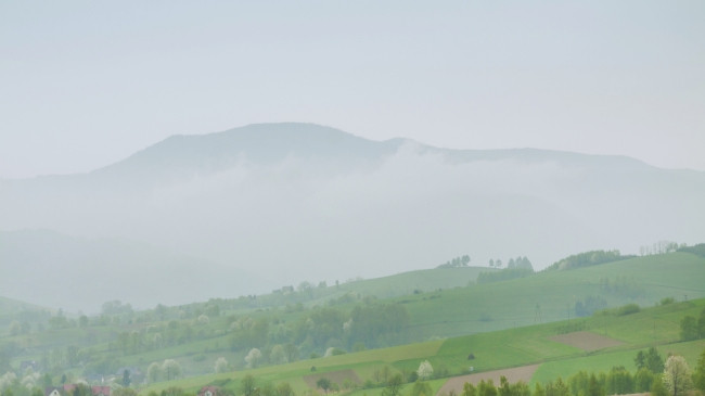 Mjegulla nuk është vetëm ujë në ajër: Shkencëtarët zbulojnë baktere që pastrojnë atmosferën