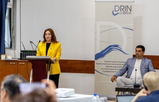 MMPH merr pjesë në Konferencën e 10-të për Drinin në Strugë