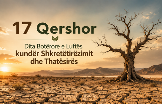 Bota shënon Ditën e Luftës kundër Shkretëtirëzimit dhe Thatësirës