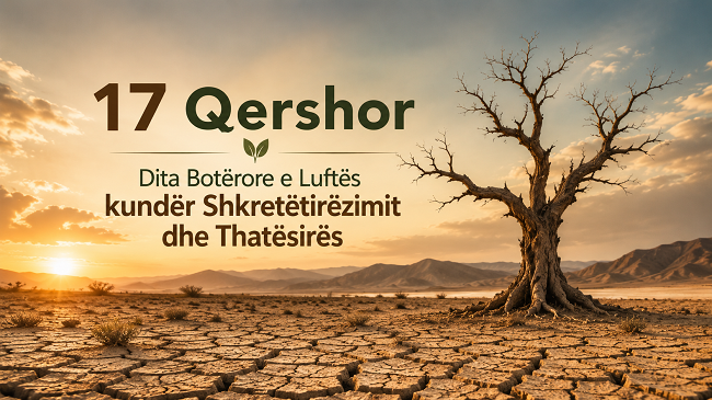 Bota shënon Ditën e Luftës kundër Shkretëtirëzimit dhe Thatësirës