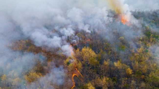 Zjarr masiv pranë Parisit, angazhohen aeroplanë zjarrfikës për të frenuar flakët