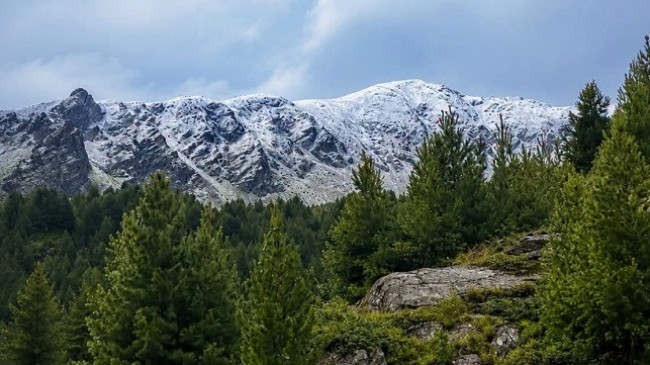 Na befason moti, zbardhen majat malore