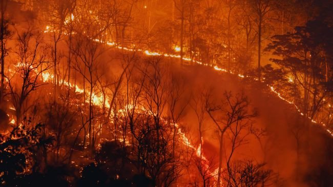 "Ato digjen si bomba atomike": Zjarret e reja gjigante po e trembin Evropën - Çfarë po ndryshon me krizën klimatike