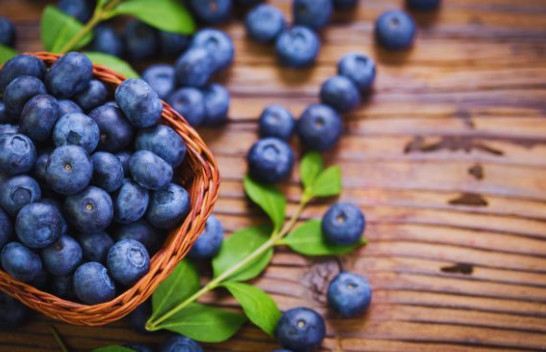 Nutricionistët rekomandojnë veçanërisht boronicat në verë, ja pse