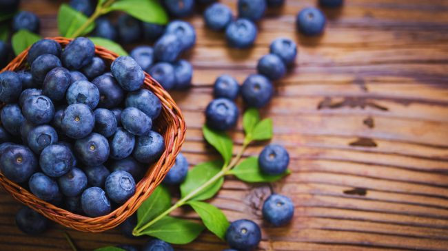Nutricionistët rekomandojnë veçanërisht boronicat në verë, ja pse