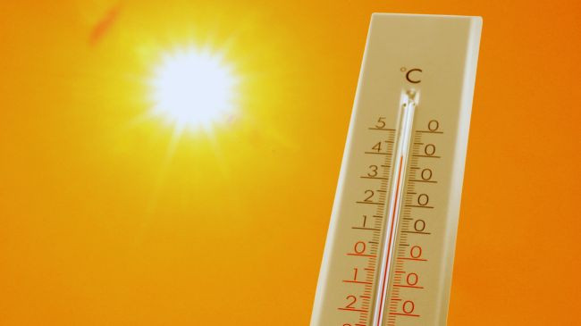 Valët e të nxehtit në Evropë po rrisin rrezikun e sëmundjeve infektive