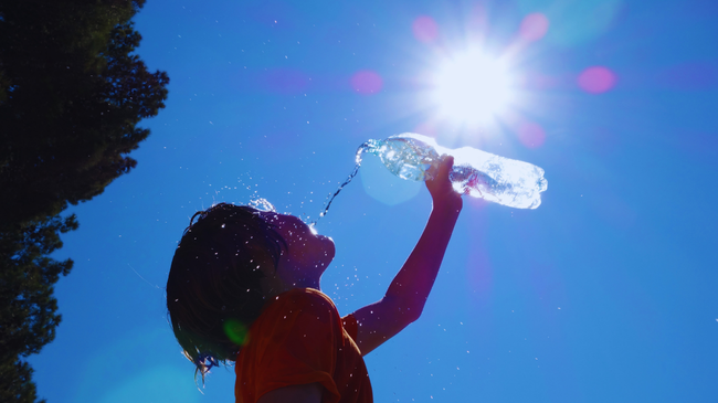 A ishte vapa e kësaj vere vërtet 'normale'?