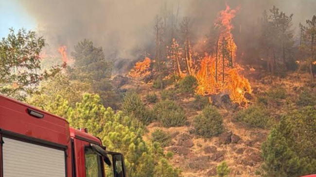 Zjarret në Shqipëri, 39 vatra në 24 orët e fundit/ Ministria e Mbrojtjes: Vijon ndërhyrja në terren dhe nga ajri