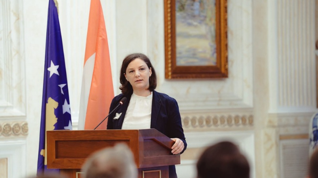 Rizvanolli: Kosova ofron mundësi tërheqëse për investime në energjinë e gjelbër